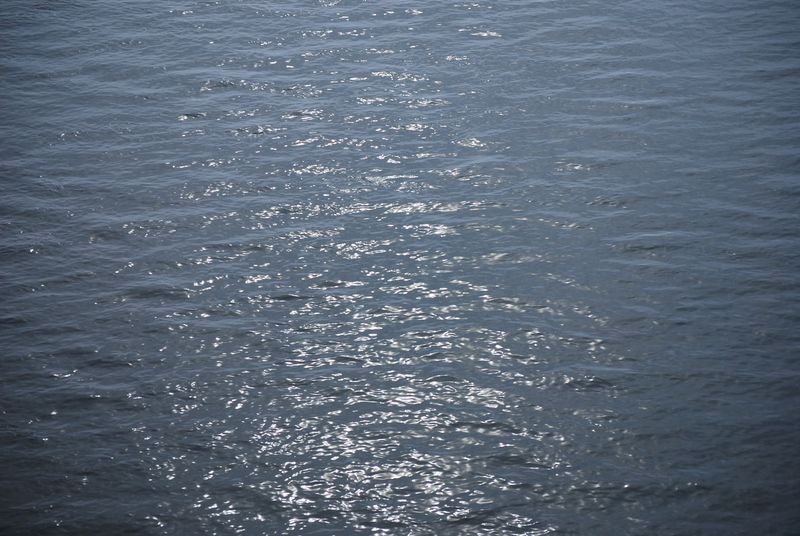DSC_0010