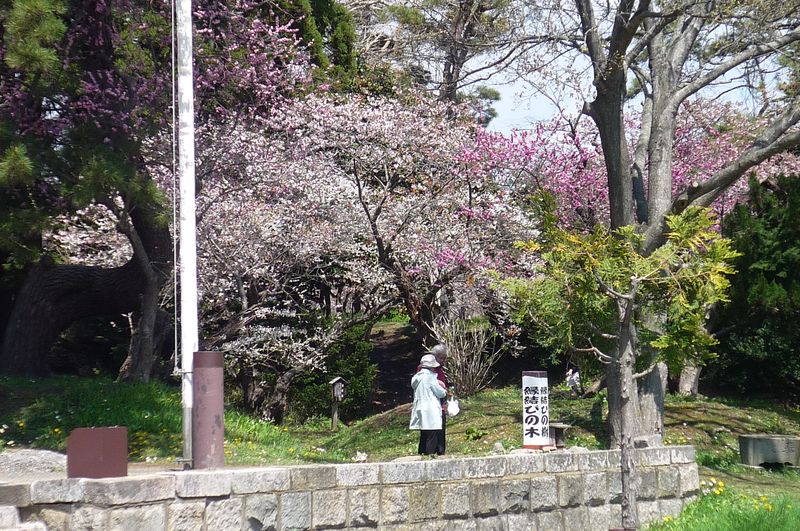 松前神社２