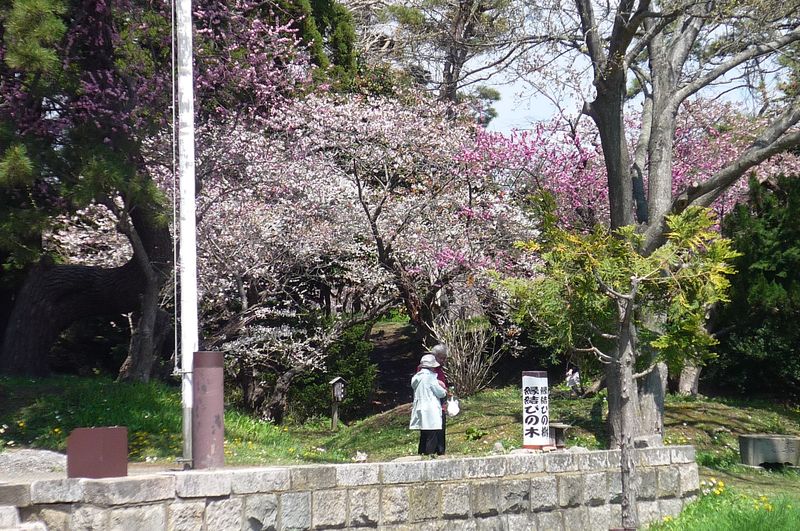 松前神社２